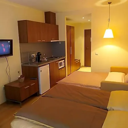 Aparthotel Park 207 4*